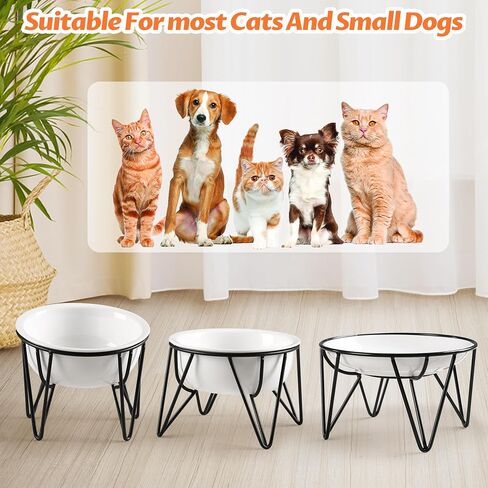 Kitwinney Ceramic Elevated Cat Bowls - Raised Cat Food Bowls Whisker Friendly, Anti-Vomiting Cat Food Plate, Elevated Cat Dish for Indoor Cats - Stylish, Safe and Hygienic Cat Food Bowl Set（2 Pack） in Saudi Arabia