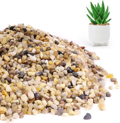 WHANLEY L&Q 2 LB Matte Gravel,Natural White River Rocks(0.4~0.8 Inches) White Gravel,Vase Filling Stone,Pea Gravel,Rocks,Decorative Stones,Small Rocks,White Gravel for Fish Tank,Gravel,Rock Garden in Saudi Arabia