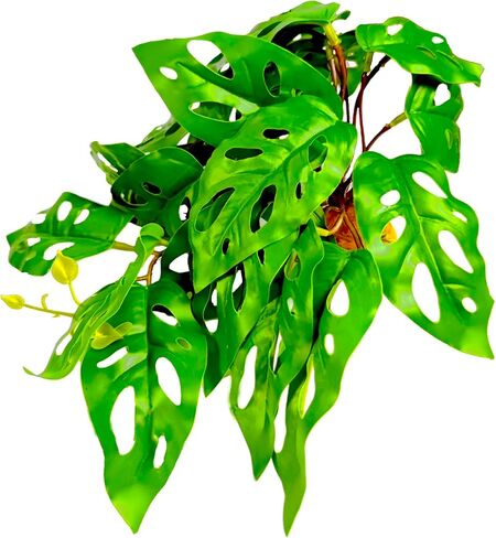 Woyrise Reptile Artificial Plants for Terrarium, Amphibian Habitat Decor Plant, Bearded Dragon Tank Decorations fit Gecko Lizard Chameleon Ball Python Snake Frog - Monstera in Saudi Arabia