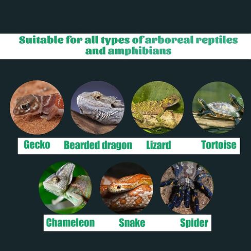 Woyrise Reptile Artificial Plants for Terrarium, Amphibian Habitat Decor Plant, Bearded Dragon Tank Decorations fit Gecko Lizard Chameleon Ball Python Snake Frog - Monstera in Saudi Arabia