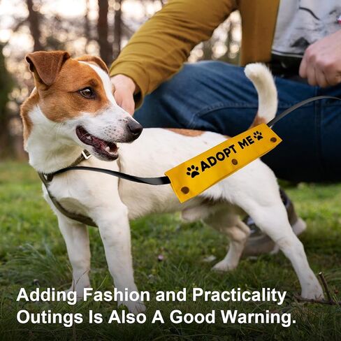 YROVWENQ Nervous Rescue Please Approach Slowly Yellow Sleeve - Funny Dog Leash Wrap for Dogs in Kuwait