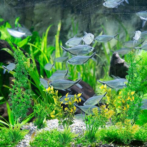 10 باك نباتات حوض السمك الاصطناعية، حجم صغير 4 الى 4.5 انش ارتفاع تقريبي لتزيين حوض الاسماك وديكور المنزل، بلاستيك بالوان متنوعة in Kuwait