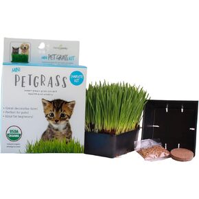Handy Pantry Organic Cat Grass Kit - Includes 3 Trays, Soil Pucks, and 3 Packs Non GMO Wheatgrass Seed - A Healthy Treat For Cats, Dogs, Rabbits, More