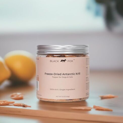 BLACK FOX Freeze-Dried Pump'ken Dog Treats | Cat Treats | 2oz Chicken Salmon Pumpkin, Raw, Healthy, All Natural, Human Grade, Digestion in Kuwait