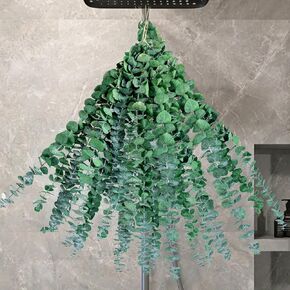 NTLPAMPA Eucalyptus for Shower 10PCS,17" Natural Fresh Hanging Eucalyptus Stems,Real Eucalyptus Leaves Branches for Vase Filler,Bathroom,Wedding,Dried Flowers Arrangement Decor