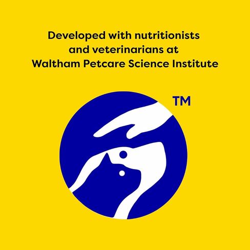 TEMPTATIONS Classic Treats for Cats Creamy Dairy Flavor 3 Ounces (Pack of 12) in Kuwait