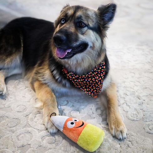 Lulubelles Power Plush | Witch's Brew | Halloween Dog Toy | Spooky, Funny Toy for Dogs | Plush Toy with Squeaker Inside | Fun, Durable, and Safe Dog Toys in Saudi Arabia