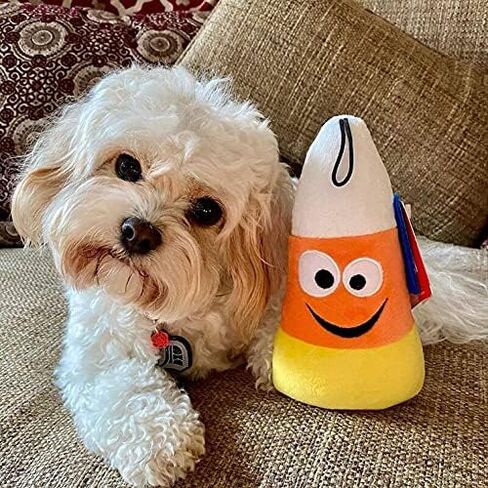 Lulubelles Power Plush | Witch's Brew | Halloween Dog Toy | Spooky, Funny Toy for Dogs | Plush Toy with Squeaker Inside | Fun, Durable, and Safe Dog Toys in Saudi Arabia