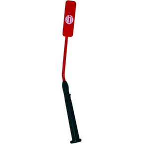 Insider Bat Size: