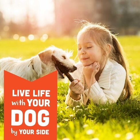 Cloud Star Wag More Bark Less - Dog Treats - Soft Chews - Grain Free Cheddar Cheese - 5 oz Pouch in Saudi Arabia