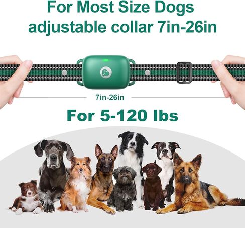 Heaflex Electric Dog Training Collar with Remote 1640FT, E-Shock, Safe Training Modes, Rechargeable IP67 Waterproof Collars for 1 Dog (Yellow) in Kuwait