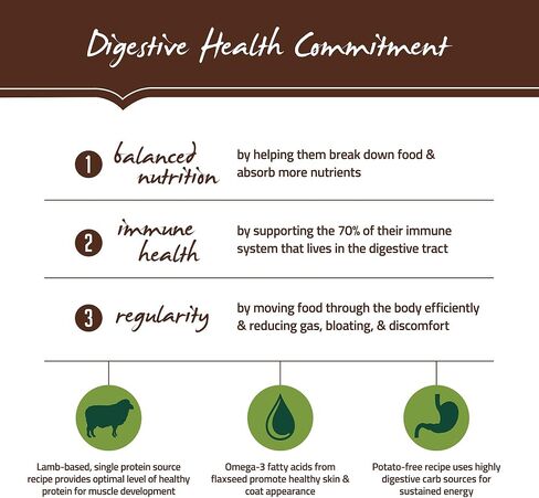 Holistic Select Natural Grain Free Dry Dog Food, Deboned Turkey & Lentils Recipe, 12-Pound Bag in Kuwait