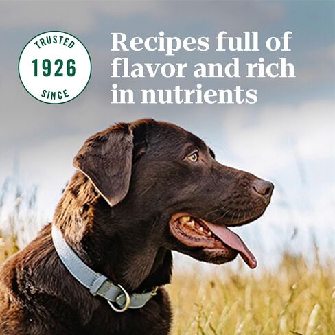 NUTRO NATURAL CHOICE Adult Dry Dog Food, Farm-Raised Chicken & Brown Rice Recipe Kibble, 40 lb. Bag in Saudi Arabia