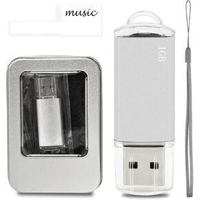 USB Thumb Drive 256MB USB 2.0 Flash Drive 10 Pack, Nicepicten 256MB Pendrive USB Memory Stick Jump Zip Drive USB Storage Key, Metal U Disk for Data Storage with 10PCS Lanyards & Color Label Tags