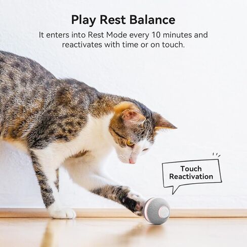 Cheerble Interactive Cat Ball Toy, Automatic Moving Ball Puzzle Toy for Indoor Cat Kitten, Smart Anti-Depression Pet Toy Fun Gift with Light, Red in Saudi Arabia