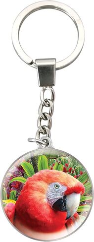 Magnidome Deluxebase Key Rings Charming Crystal Key Ring Clown Fish Dome Key Ring with Stainless Steel Chain in Saudi Arabia