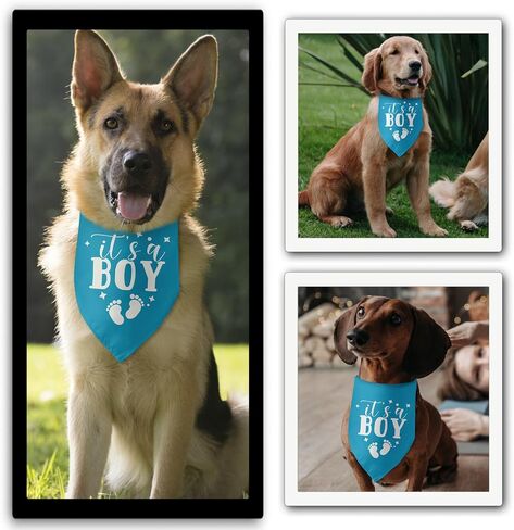 It's a Girl Gender Reveal Dog Bandana Baby Announcement Dog Bandanas Puppy Bandana Pink Dog Bandana Photo Prop Pet Scarf Accessories for Pet Dog Lovers Gifts in Saudi Arabia
