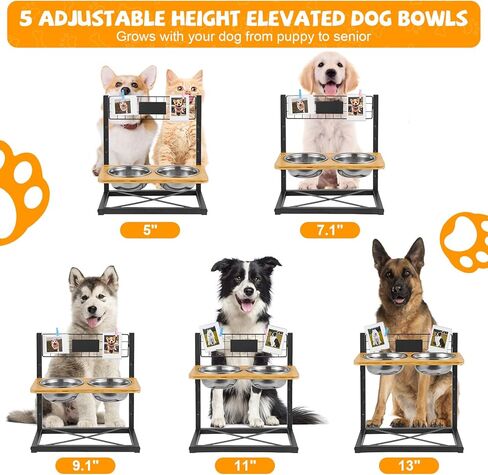أوعية مرتفعة للكلاب، 12 أوعية للكلاب مرتفعة من الخيزران قابلة للتعديل، مزودة بمياه مغذية مع وعائين من الفولاذ المقاوم للصدأ، قابلة للتعديل بارتفاع 4.8 بوصة حتى 15.7 بوصة، أوعية مرتفعة للحيوانات الأليفة للكلاب والقطط الصغيرة والمتوسطة والكبيرة in Kuwait