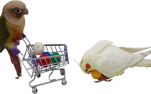 Bird Ball Foot Talon Toy for Chewing Training，Parrots Treat Tabletop Puzzle Ball Toy，Soft Rubber Bird Grinding Beak Ball，Bird Cage Playpen Gym Playground Decor for Cockatiels Conures African Grey in Kuwait