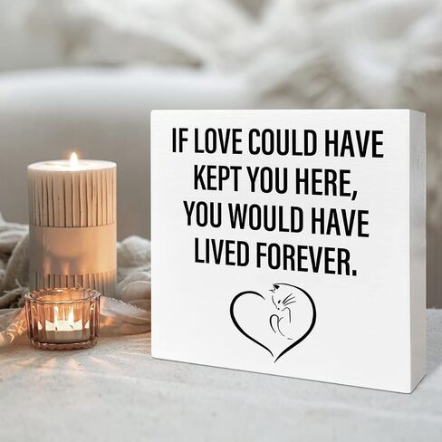 Memorial Gifts for Lose of Cat, Pet Sympathy Gifts Cat Remembrance Gifts Loss of Cat Bereavement Gifts, The Brightest Star in The Sky, Cat Memorial Desk Decor Wooden Box Sign in Saudi Arabia