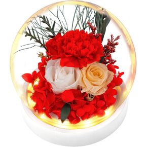 TGELATA Preserved Flowers Roses, Fresh Flowers Real Floral Gift for Women, Flowers for Delivery Prime for Christmas/Valentine's Day/Mothers Day, Forever Rose Birthday Gifts for Mom, 2 Pink Roses