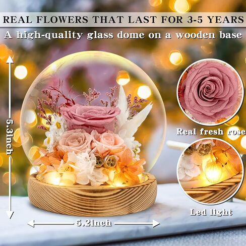TGELATA Preserved Flowers Roses, Fresh Flowers Real Floral Gift for Women, Flowers for Delivery Prime for Christmas/Valentine's Day/Mothers Day, Forever Rose Birthday Gifts for Mom, 2 Pink Roses in Saudi Arabia