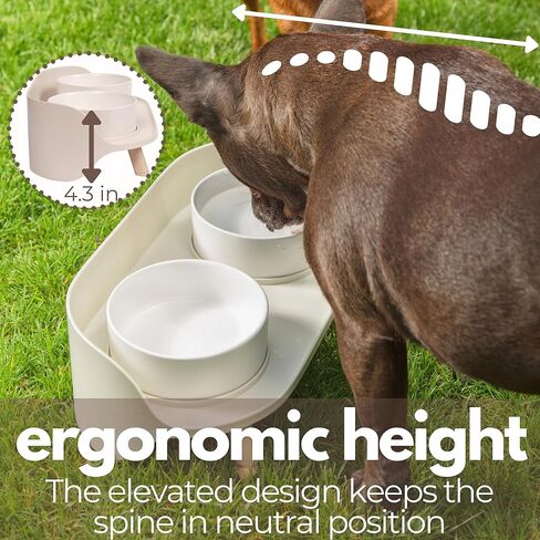 وعاء الكلب الذهبي والرخام السيراميكي A4DOG مع حامل خشبي، أوعية طعام سيراميك متينة للكلاب مرتفعة المياه، مجموعة مياه طعام مرجحة لطيفة، أوعية طعام للكلاب من السيراميك - رخام بخط ذهبي رمادي 29 أونصة in Kuwait