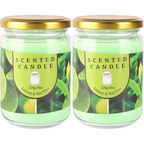 Set of 40 Votive Candles Clear Glass, 10 Fragrances Scented Candle, 2 oz Soy Wax Aromatherapy Candle for Home Decoration, Gifts for Anniversary Christmas Thanksgiving