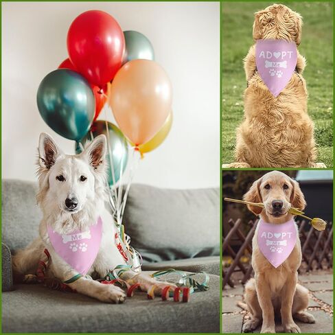 سوف تتزوج والدي الكلب باندانا الكلب الزفاف الخطوبة باندانا الزفاف الخطوبة الكلب باندانا صور الدعامة الحيوانات الأليفة وشاح الملحقات لمحبي الكلاب هدية in Kuwait