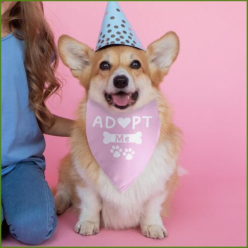 سوف تتزوج والدي الكلب باندانا الكلب الزفاف الخطوبة باندانا الزفاف الخطوبة الكلب باندانا صور الدعامة الحيوانات الأليفة وشاح الملحقات لمحبي الكلاب هدية in Kuwait