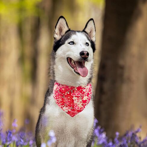 PET SHOW 4Pcs Small Dog Bandanas Slide on Collar Set Washable Cherry Blossoms Puppies Cat Bandanas Bibs Slip Through Collar Accessories for Boy Girl Small Medium Dogs Attach to Pet Collar in Saudi Arabia