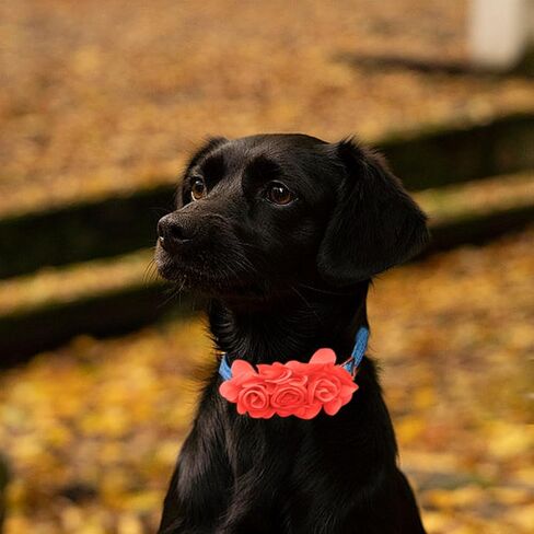 Dog Bow Ties, SJANE 50 Pcs Delicate Multiple Styles & Colors Dog Collar Attachment Bowties for Pet Collar Charms Accessories Bowties for Summer Hawaiian Parties Wedding Birthday Special Occasions in Kuwait