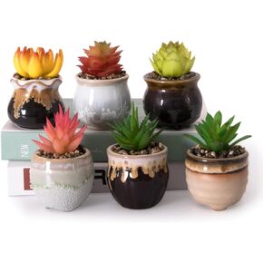 LOVOUS Artificial Small Succulents Plants in Pots, Mini Faux Fake Succulents Plants for Home Bathroom Bedroom Office Decor Desk Shelves Windowsills Table Decoration Indoor Outdoor Set of 6