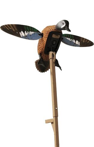 MOJO Elite Series Diver Spinning Wing Duck Decoy، معدات صيد البط وملحقاتها، Bluebill in Kuwait