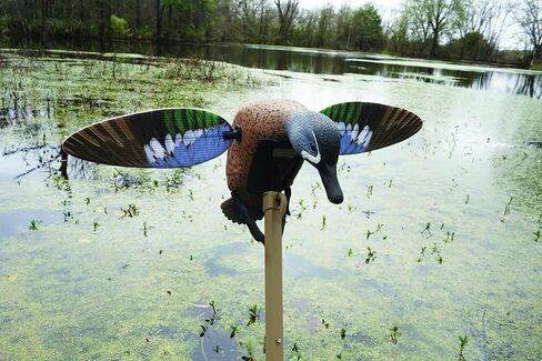 MOJO Elite Series Diver Spinning Wing Duck Decoy، معدات صيد البط وملحقاتها، Bluebill in Kuwait