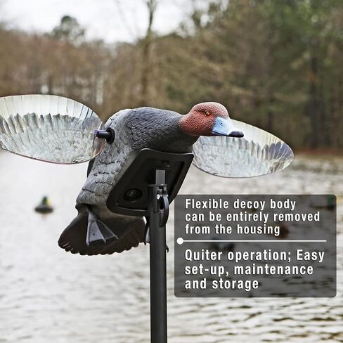 MOJO Elite Series Diver Spinning Wing Duck Decoy، معدات صيد البط وملحقاتها، Bluebill in Kuwait
