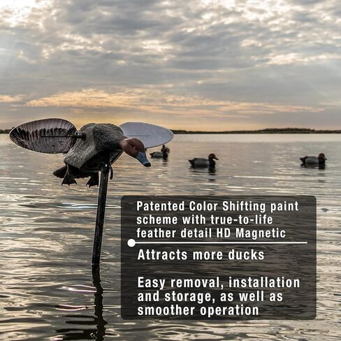 MOJO Elite Series Diver Spinning Wing Duck Decoy، معدات صيد البط وملحقاتها، Bluebill in Kuwait