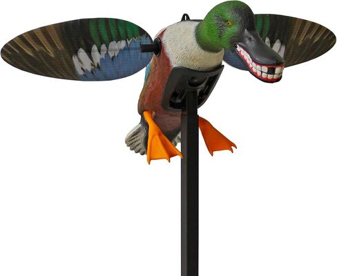 MOJO Elite Series Diver Spinning Wing Duck Decoy، معدات صيد البط وملحقاتها، Bluebill in Kuwait