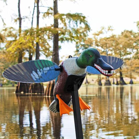MOJO Elite Series Diver Spinning Wing Duck Decoy، معدات صيد البط وملحقاتها، Bluebill in Kuwait