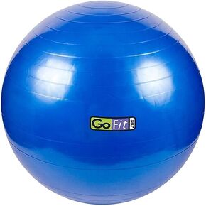 GoFit Stability Ball