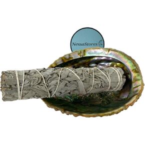 NESSASTORES - Large Size Smudge Kit - 6"-7" Abalone Shell + 6" Wood Stand + 3 pcs 7" White Sage + 3 pcs Palo Santo #JC-213 (1 Kits)