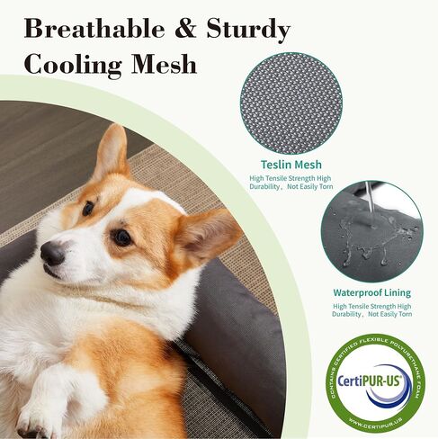 TJSOULER Cooling Elevated Dog Bed with Pillows,Portable Washable Raised Dog Cot Bed with Chew Proof Mesh and Metal Frame,No-Slip Rubber Feet for Indoor & Outdoor Use,XLarge,Deep Grey in Saudi Arabia