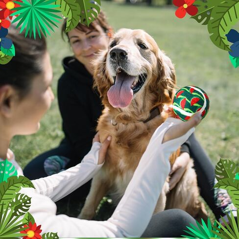 Hiboom 48 Pieces Christmas Tennis Balls for Dogs 2.5 Inches Xmas Dog Toys Ball Pet Interactive Toy for Small Medium Large Dogs Teething Chew Training Playing Toys Christmas Pet Gift in Saudi Arabia