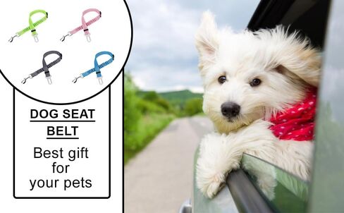 Heavy Duty Nylon Dog Seat Belt for Car - Adjustable, Reflective and Safe Pet Seatbelt for Traveling with Your Pet - Perfect for Cars, SUVs and Trucks - Green in Kuwait