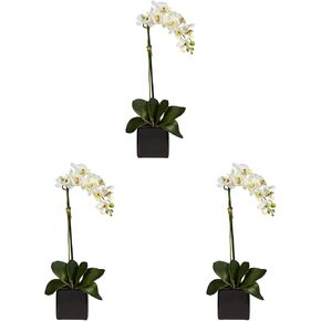 Nearly Natural 20in. Orchid Artificial Arrangement in Black Planter, White