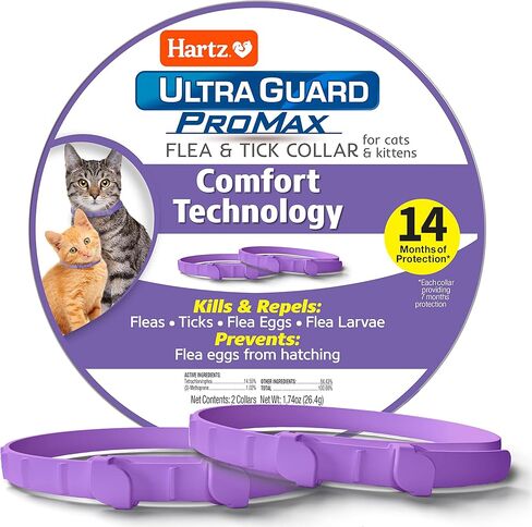 طوق Hartz UltraGuard Plus للبراغيث والقراد للقطط والقطط الصغيرة، للوقاية من البراغيث والقراد لمدة 7 أشهر، أبيض، عدد 2 in Kuwait