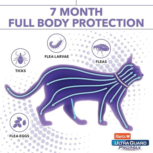 طوق Hartz UltraGuard Plus للبراغيث والقراد للقطط والقطط الصغيرة، للوقاية من البراغيث والقراد لمدة 7 أشهر، أبيض، عدد 2 in Kuwait