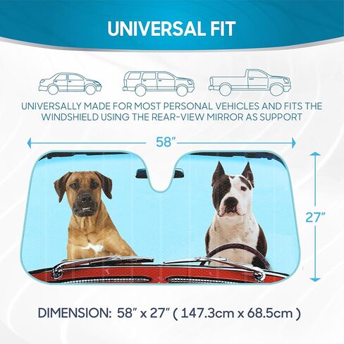 BDK Hundred Dollar Bill Benjamin Franklin Front Windshield Sun Shade - Accordion Folding Auto Sunshade for Car Truck SUV - Blocks UV Rays Sun Visor Protector - Keeps Your Vehicle Cool - 58 x 27 Inch in Saudi Arabia