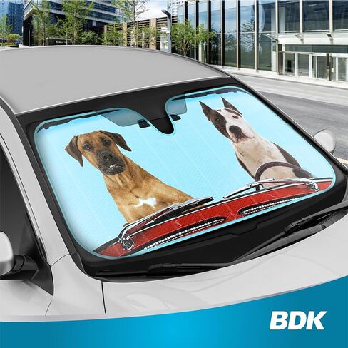 BDK Hundred Dollar Bill Benjamin Franklin Front Windshield Sun Shade - Accordion Folding Auto Sunshade for Car Truck SUV - Blocks UV Rays Sun Visor Protector - Keeps Your Vehicle Cool - 58 x 27 Inch in Saudi Arabia