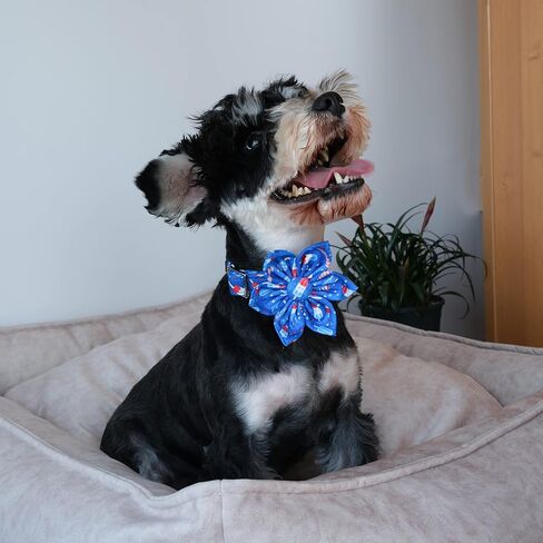 Unique style paws Independence Day Flag Dog Collar, Best for Small Medium Large Boys Girls Dogs in Kuwait